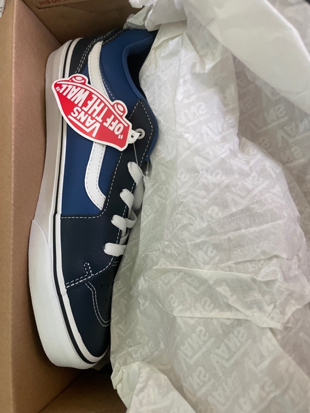 Vans Navy and White Low-Top Skate Sneakers